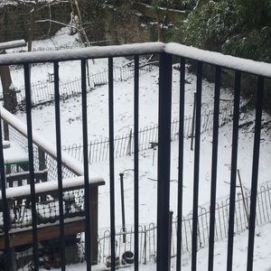 Meet your Posher, Lama